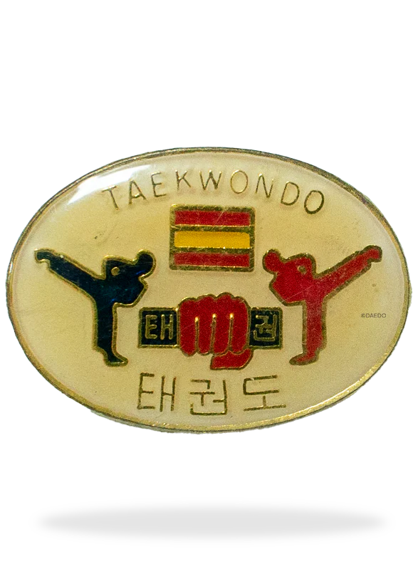TKD SPANISH FLAG PIN